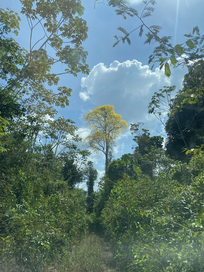 Imagem da seção números-chave